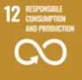 SDGS12 Responsible Production and Consumption